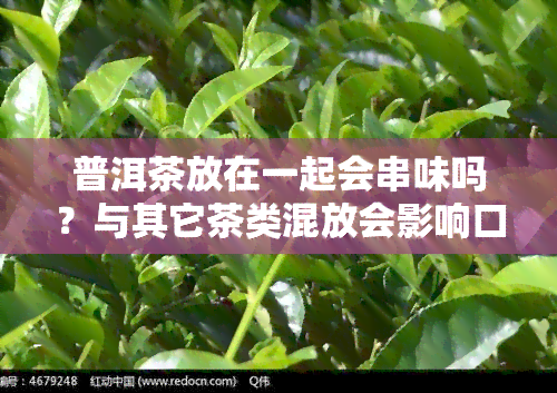 普洱茶放在一起会串味吗？与其它茶类混放会影响口感吗？