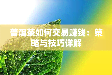 普洱茶如何交易赚钱：策略与技巧详解