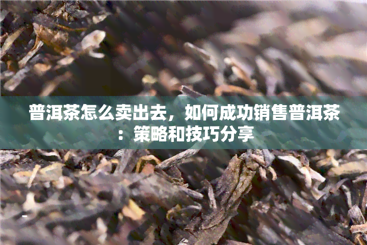 普洱茶怎么卖出去，如何成功销售普洱茶：策略和技巧分享