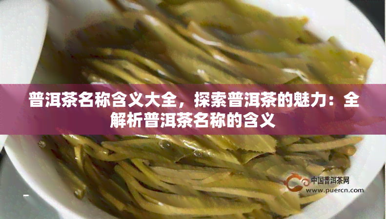 普洱茶名称含义大全，探索普洱茶的魅力：全解析普洱茶名称的含义