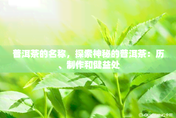 普洱茶的名称，探索神秘的普洱茶：历、制作和健益处