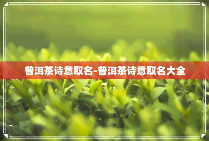 普洱茶诗意取名-普洱茶诗意取名大全