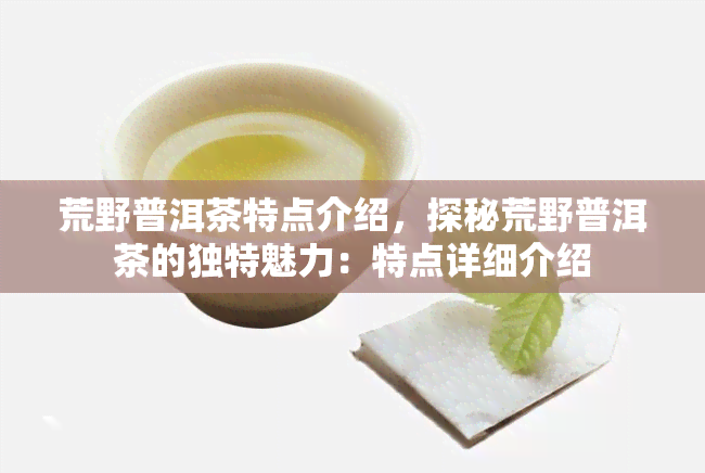 荒野普洱茶特点介绍，探秘荒野普洱茶的独特魅力：特点详细介绍