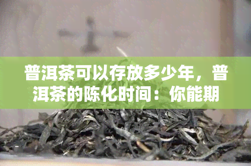 普洱茶可以存放多少年，普洱茶的陈化时间：你能期待它存放多久？