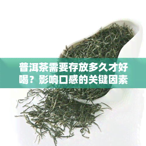 普洱茶需要存放多久才好喝？影响口感的关键因素解析