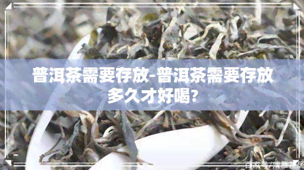 普洱茶需要存放-普洱茶需要存放多久才好喝?