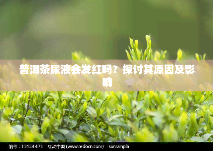 普洱茶尿液会发红吗？探讨其原因及影响