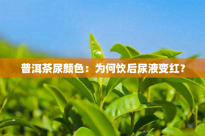 普洱茶尿颜色：为何饮后尿液变红？