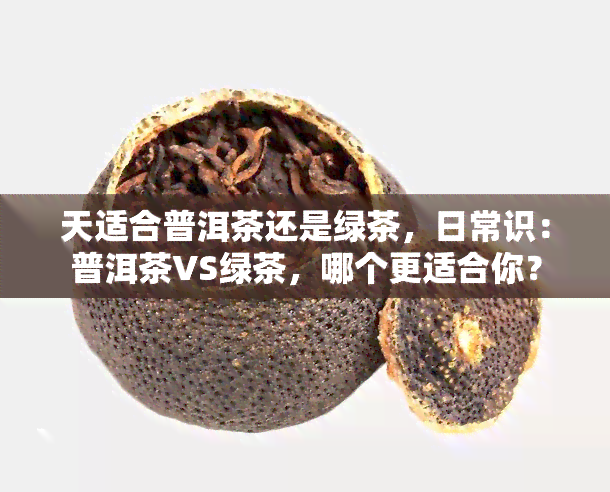 天适合普洱茶还是绿茶，日常识：普洱茶VS绿茶，哪个更适合你？