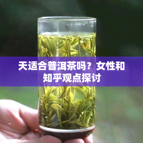 天适合普洱茶吗？女性和知乎观点探讨