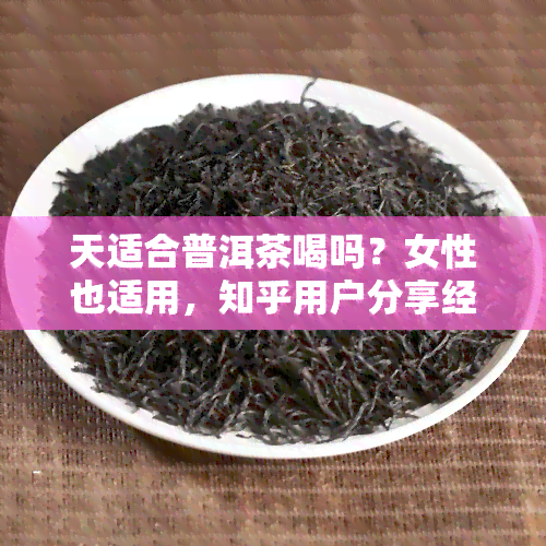 天适合普洱茶喝吗？女性也适用，知乎用户分享经验