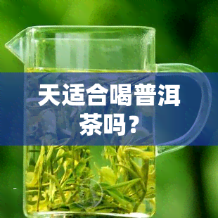 天适合喝普洱茶吗？