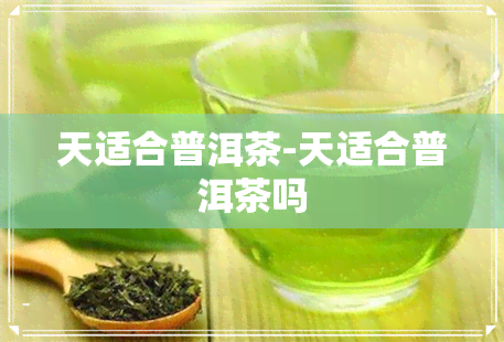 天适合普洱茶-天适合普洱茶吗