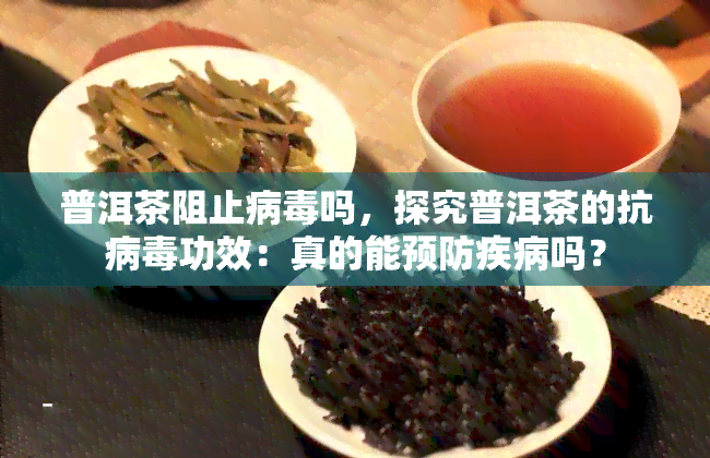 普洱茶阻止病吗，探究普洱茶的抗病功效：真的能预防疾病吗？