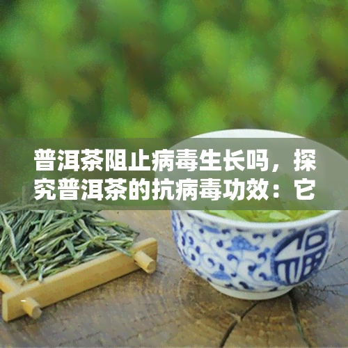 普洱茶阻止病生长吗，探究普洱茶的抗病功效：它能阻止病生长吗？