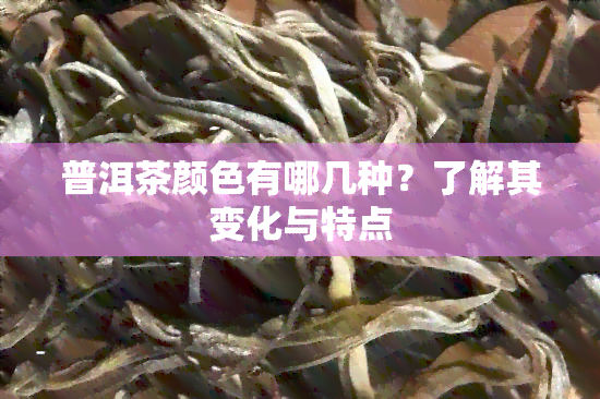 普洱茶颜色有哪几种？了解其变化与特点