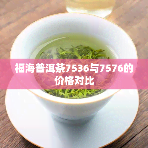 福海普洱茶7536与7576的价格对比