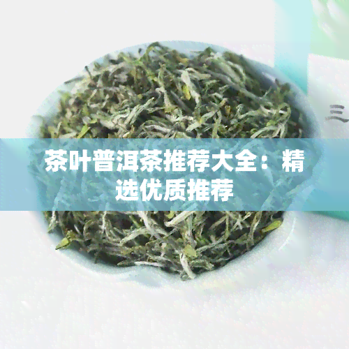 茶叶普洱茶推荐大全：精选优质推荐