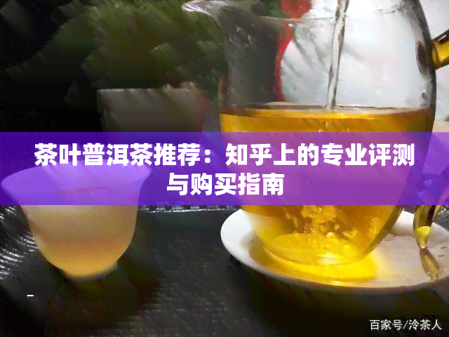 茶叶普洱茶推荐：知乎上的专业评测与购买指南