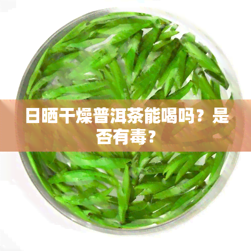 日晒干燥普洱茶能喝吗？是否有？