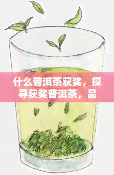 什么普洱茶获奖，探寻获奖普洱茶，品味越品质