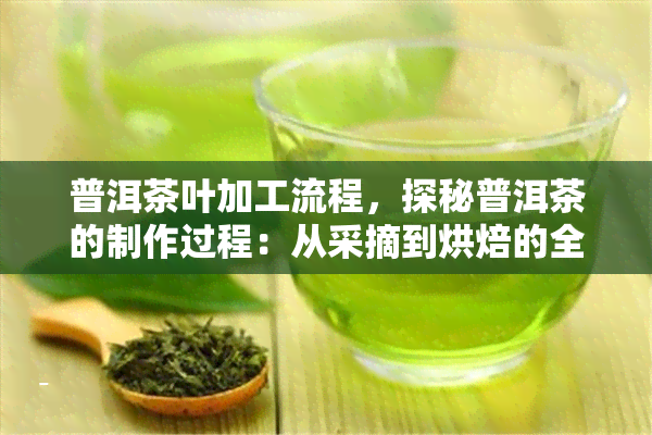 普洱茶叶加工流程，探秘普洱茶的制作过程：从采摘到烘焙的全过程解析