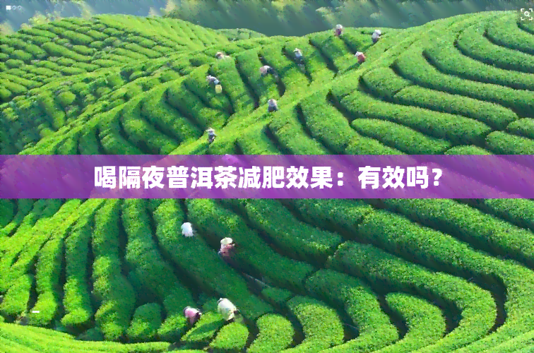 喝隔夜普洱茶减肥效果：有效吗？