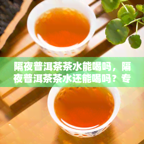 隔夜普洱茶茶水能喝吗，隔夜普洱茶茶水还能喝吗？专家解析