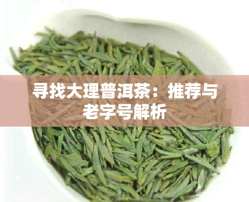 寻找大理普洱茶：推荐与老字号解析