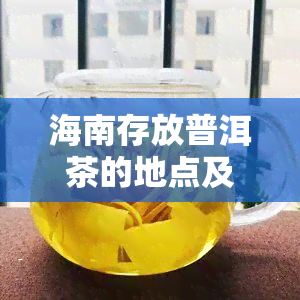 海南存放普洱茶的地点及价格全揭秘