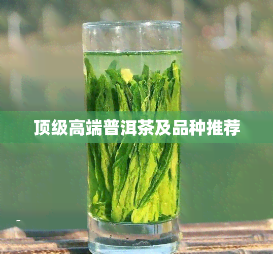 顶级高端普洱茶及品种推荐