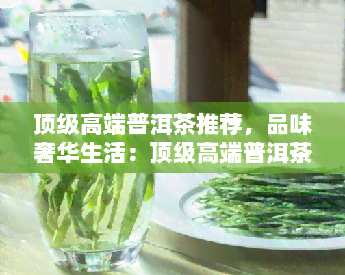 顶级高端普洱茶推荐，品味奢华生活：顶级高端普洱茶推荐