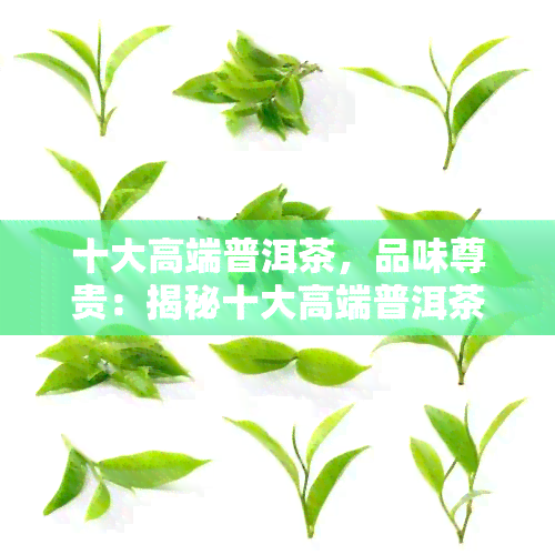 十大高端普洱茶，品味尊贵：揭秘十大高端普洱茶的魅力与价值