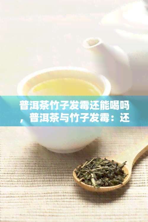 普洱茶竹子发霉还能喝吗，普洱茶与竹子发霉：还能安心饮用吗？