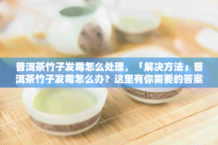 普洱茶竹子发霉怎么处理，「解决方法」普洱茶竹子发霉怎么办？这里有你需要的答案！