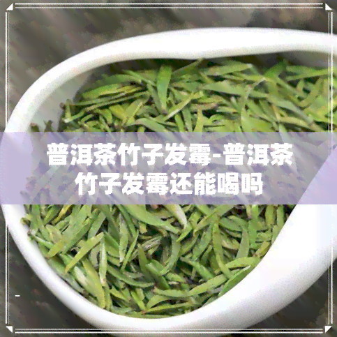 普洱茶竹子发霉-普洱茶竹子发霉还能喝吗