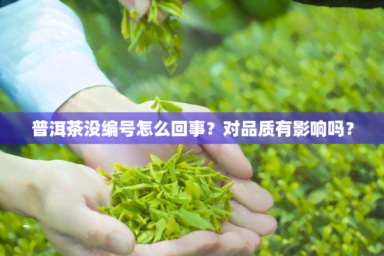 普洱茶没编号怎么回事？对品质有影响吗？