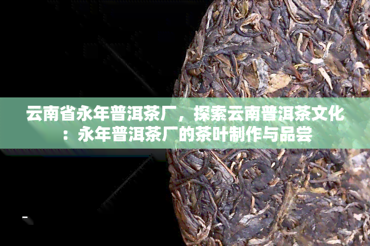 云南省永年普洱茶厂，探索云南普洱茶文化：永年普洱茶厂的茶叶制作与品尝