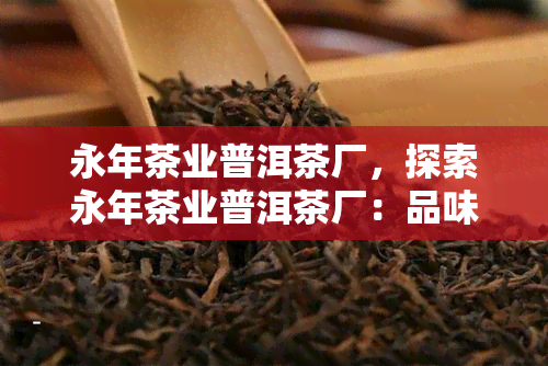 永年茶业普洱茶厂，探索永年茶业普洱茶厂：品味千年古树普洱的魅力