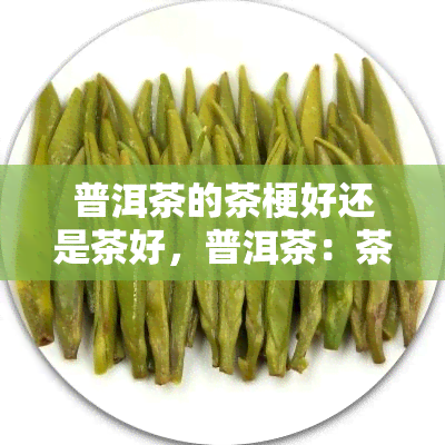 普洱茶的茶梗好还是茶好，普洱茶：茶梗与茶叶，哪个更好？