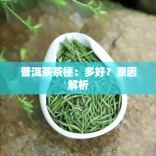 普洱茶茶梗：多好？原因解析