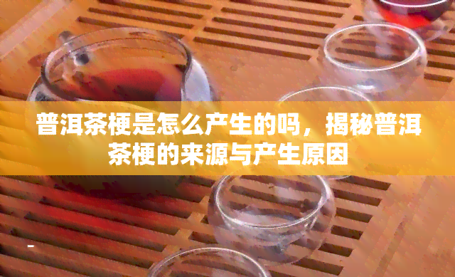 普洱茶梗是怎么产生的吗，揭秘普洱茶梗的来源与产生原因