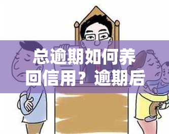 总逾期如何养回信用？逾期后的恢复方法与策略