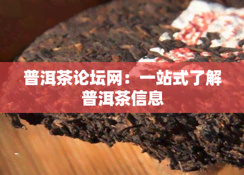 普洱茶论坛网：一站式了解普洱茶信息