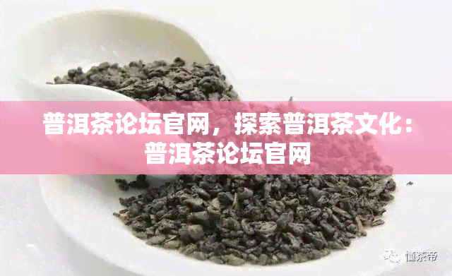 普洱茶论坛官网，探索普洱茶文化：普洱茶论坛官网