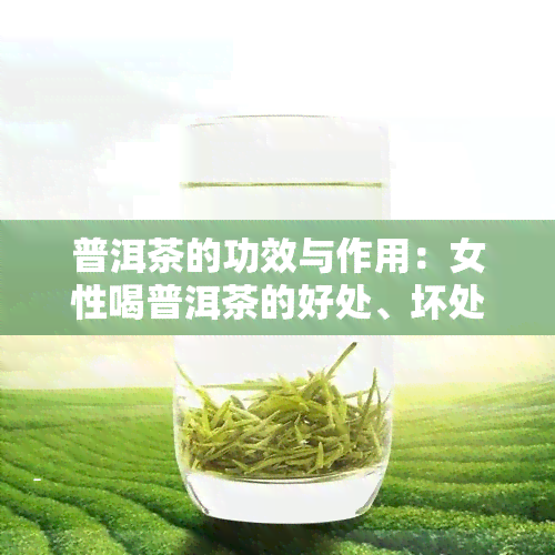 普洱茶的功效与作用：女性喝普洱茶的好处、坏处及优点全面解析