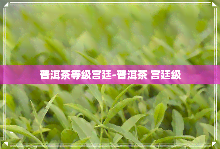 普洱茶等级宫廷-普洱茶 宫廷级