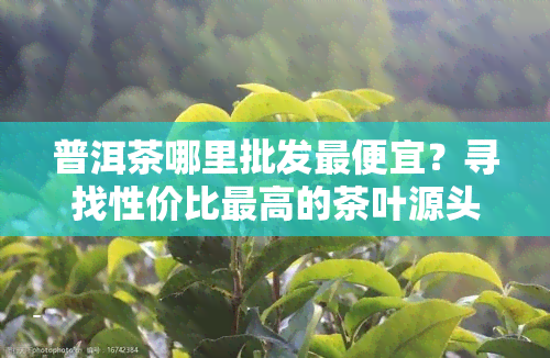 普洱茶哪里批发更便宜？寻找性价比更高的茶叶源头！