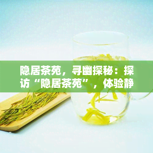 隐居茶苑，寻幽探秘：探访“隐居茶苑”，体验静致远的茶道生活