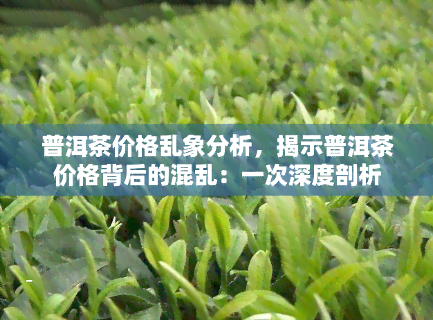 普洱茶价格乱象分析，揭示普洱茶价格背后的混乱：一次深度剖析